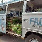 Famílias carentes recebem 10 mil kits de verduras e legumes durante a pandemia em Campo Grande