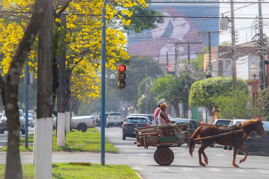 Evolução arquitetônica de Dourados é tema de concurso de fotografia da ACED