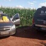 Perseguição policial termina em plantação de milho e traficante preso