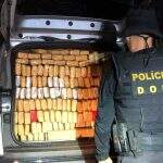 DOF ‘estoura’ entreposto de drogas e traficantes são presos quando tentavam fugir pulando o muro