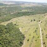 Imagens de drone revelam desmatamento e fazendeiro é multado em R$118 mil
