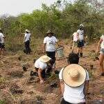 Jovens plantam mil mudas para recuperação de mata ciliar em Bonito