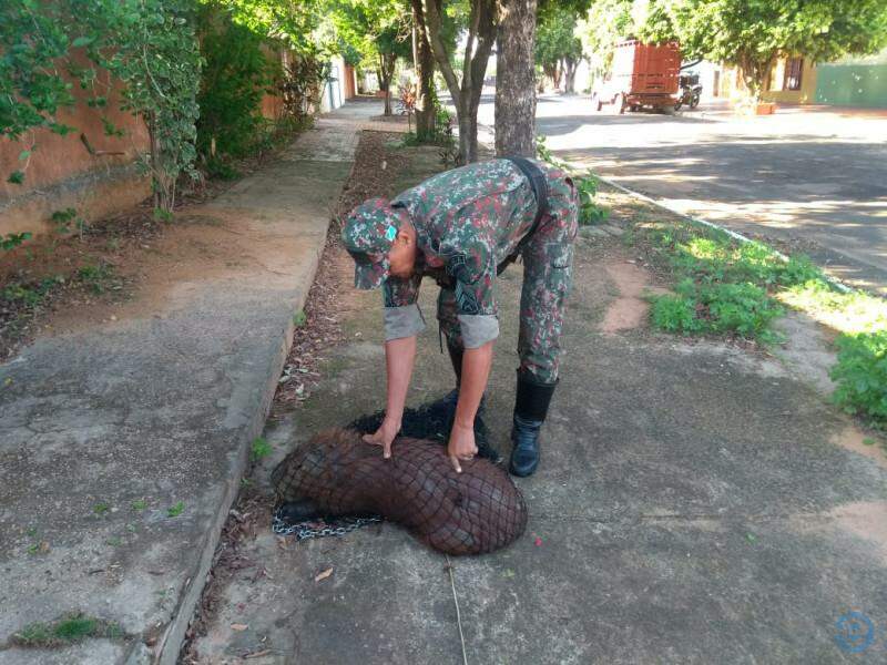 (Foto: Divulgação