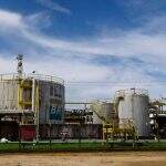 Produção de petróleo não foi afetada por greve, diz Petrobras