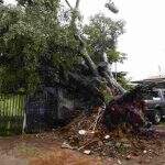 VÍDEO: Tempestade leva telhas, causa alagamentos e até acidentes em Campo Grande