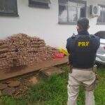 Traficantes aliciaram adolescente por R$ 30 mil para transportar 488 quilos de maconha