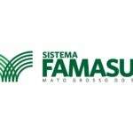 Disputa judicial movimenta eleição para nova diretoria da Famasul
