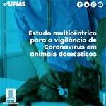 Estudo multicêntrico avalia risco de transmissão da Covid-19 de humanos para cães e gatos