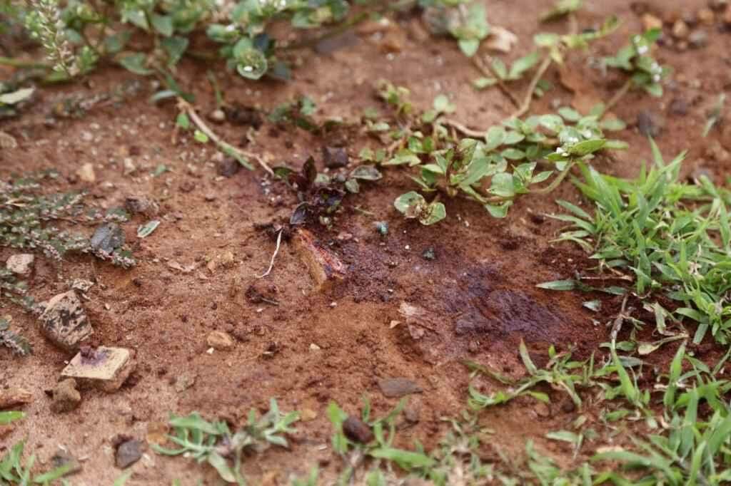 Bebê estava de bruços no terreno baldio (Henrique Arakaki