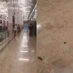 Mistério revelado: rastro de fezes em corredor de shopping de Campo Grande foi deixado por cachorro