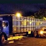 Caminhão com 90 cabeças de gado é apreendido após desviar de fiscalização