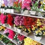 Procon-MS encontra diferença de até 255,56% em produtos de floricultura