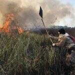 ‘Combater fogo em cima da água’: Bombeiros revelam detalhes de rotina no Pantanal