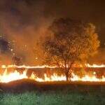 VÍDEO: incêndio em terreno atrás de hospital mobiliza Corpo de Bombeiros em Campo Grande