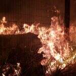 PF conclui inquérito e não aponta culpados por incêndios em Alter do Chão