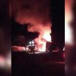 VÍDEO: carreta com carga de eucalipto pega fogo em rodovia