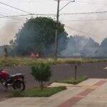 VÍDEO: Moradores flagram terreno pegando fogo, no Jardim Panamá, em Campo Grande