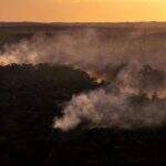 Incêndio na Amazônia de janeiro a setembro é o maior em 10 anos