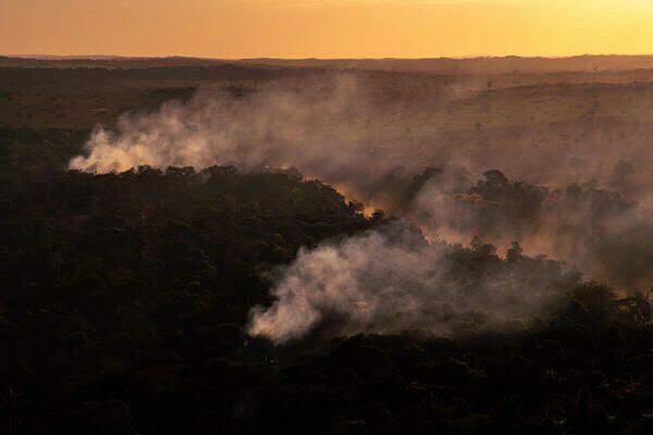 Incêndio na Amazônia de janeiro a setembro é o maior em 10 anos