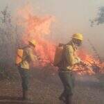Baixa do Rio Paraguai contribui para queimadas e previsão é de piora em incêndios