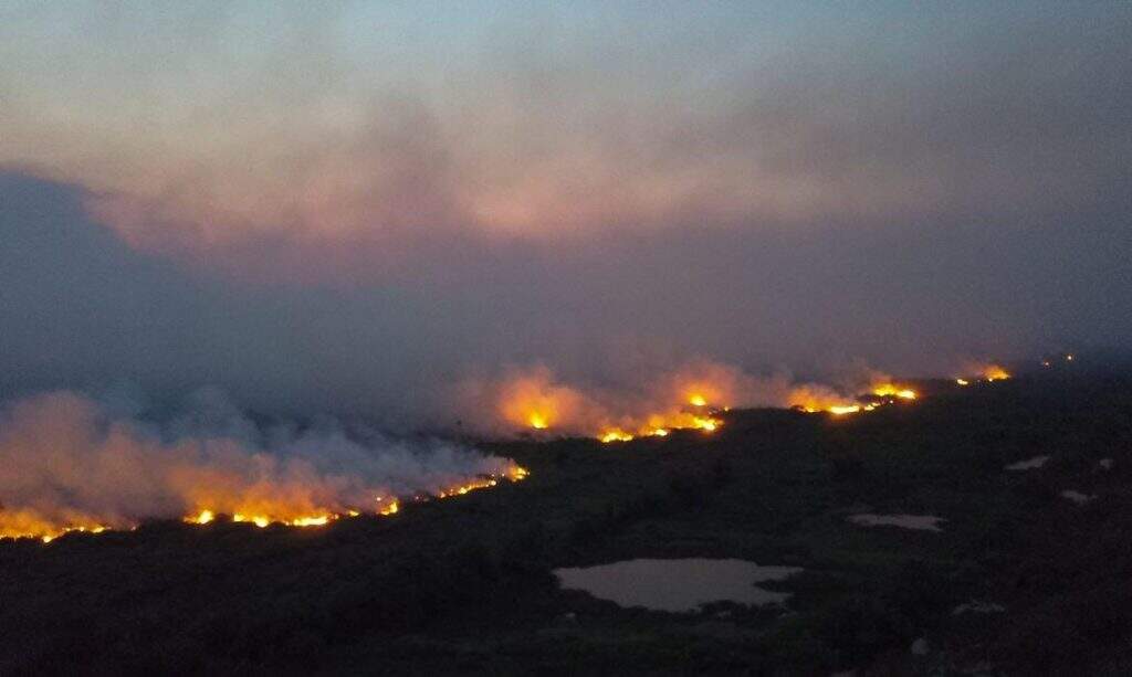 fogo pantanal-br-ecoa