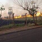 VÍDEO mostra queimada no bairro Zé Pereira em Campo Grande