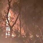 VÍDEO: fogo consome vegetação próximo a condomínio na região do Parque dos Poderes