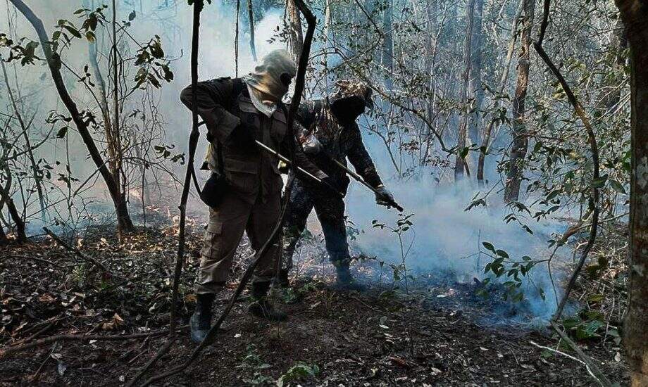 Força Nacional vai reforçar combate aos incêndios no Pantanal
