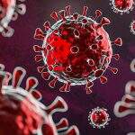 Estado do Colorado reporta 1º caso de mutação do coronavírus nos EUA