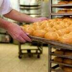 Preço do pão francês sofre aumento de 10% em MS, diz sindicato