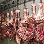 China bate Brasil em comércio com a Argentina na exportação de soja e carne bovina