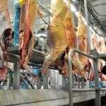 Exportações de carne e celulose aumentam e balança comercial de MS segue positiva