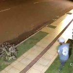 VÍDEO: Ladrão consegue furtar vaso de planta fixado no chão em segundos