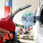 Preço da gasolina sobe 8,65% nos dois primeiros meses de 2021