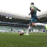 Gramado sintético do estádio do Palmeiras passa por ‘prova final’