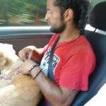 Mochileiro carrega cachorra sob sol ‘de rachar’ na BR-262 e comove vendedor em MS