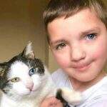 Garoto que tem ‘um olho de cada cor’ sofre bullying e adota gato com mesma alteração genética.