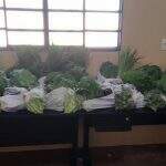 Horta cultivada por internos em presídio garante doação de verduras a familiares