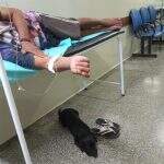 ‘Amigo fiel’: Cãozinho fareja hospital e encontra dono internado