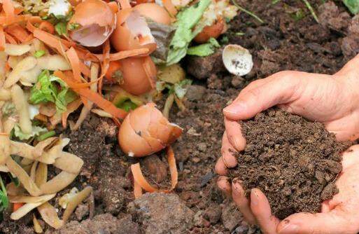 Foto: Reprodução/ Globo Rural