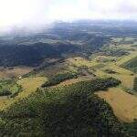 Em 10 meses, operação contra desmatamento multou 107 proprietários em R$ 3 milhões