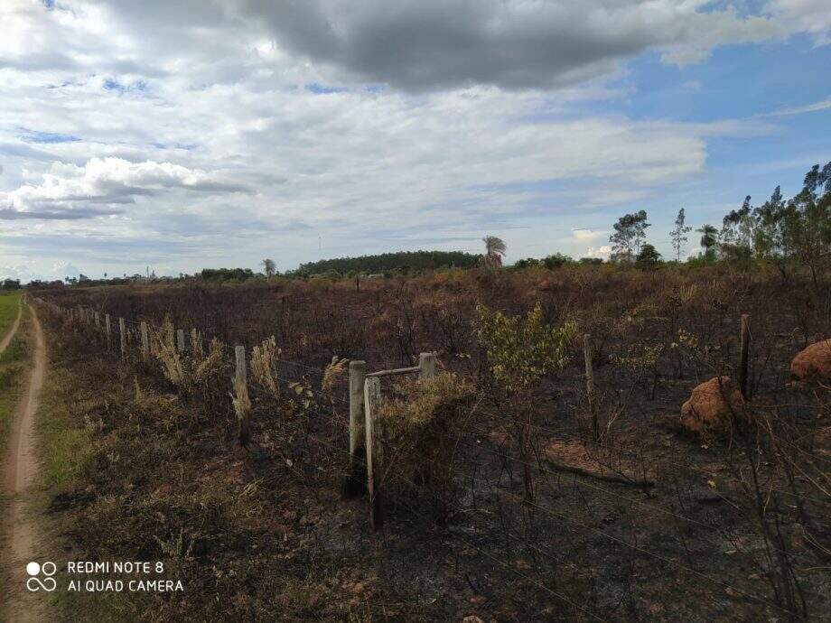 Carvoaria causa incêndio em plantação de eucalipto e fazendeiro é multado em R$ 12 mil