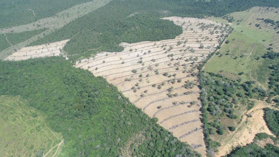 Em Coxim, falsa agrônoma e fazendeiro são multados em R$ 90 mil por desmatamento ilegal