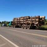 Polícia apreende carreta carregada com madeira ilegal e autua empresa em R$ 8,4 mil