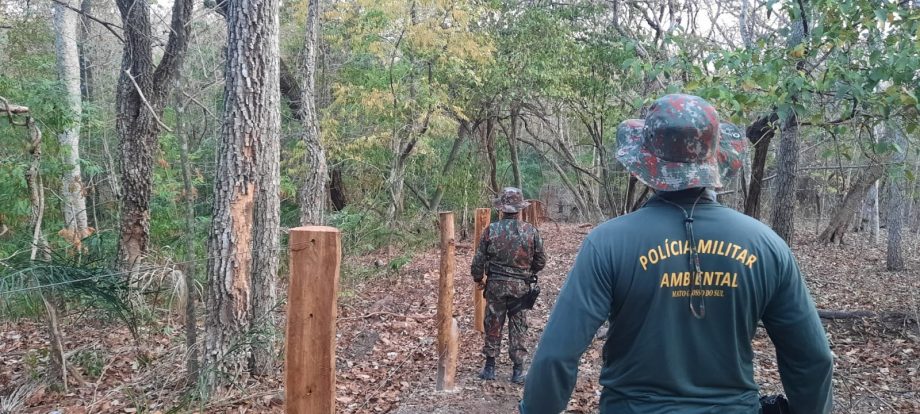Fazendeiro é multado em R$ 553 mil por exploração ilegal de madeira na Serra da Bodoquena