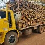 Polícia apreende caminhão com madeira ilegal na MS-080
