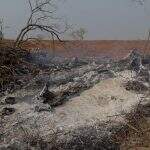 Polícia Ambiental multa em mais de R$ 27 mil empresário que queimou madeira ilegal em São Gabriel do Oeste