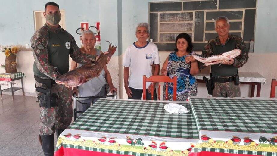 Divulgação