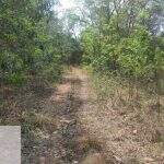 Proprietária rural é multada por desmatamento ilegal de vegetação em Bonito