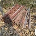 Proprietária rural é autuada por ilegal de madeira